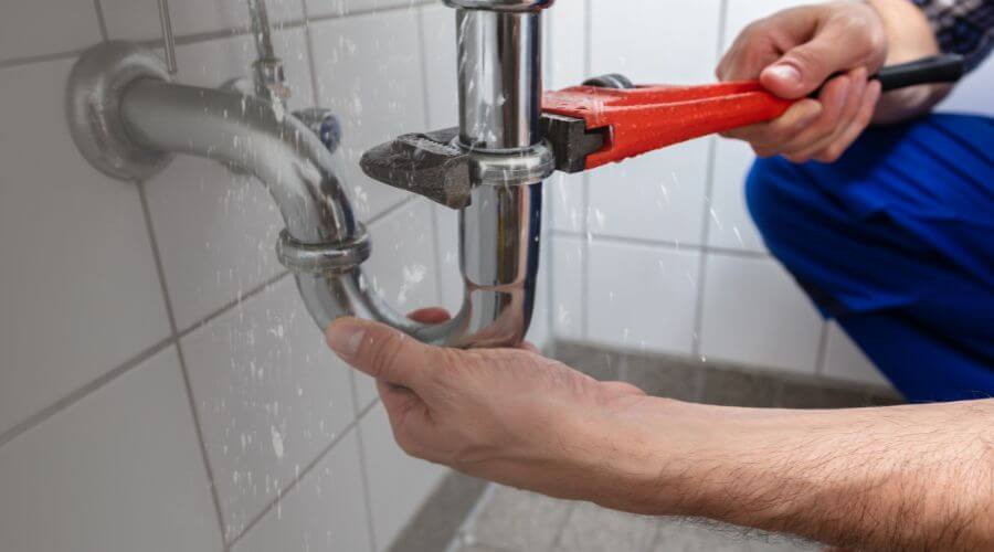 Professional Leak Detection services in Ladonia, TX